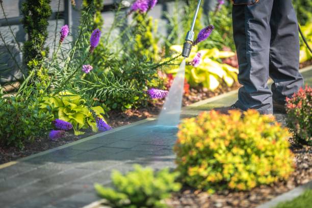 Hillcrest, NY Pressure Washing Pros