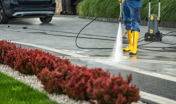 Best Fleet Vehicle Washing  in Hillcrest, NY